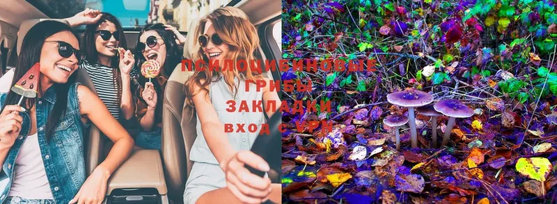 Псилоцибиновые грибы Magic Shrooms  даркнет сайт  Буинск 